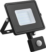 Прожектор светодиодный с датчиком движения Feron 29558 LL-908 50Вт LED 6400K IP44 черный