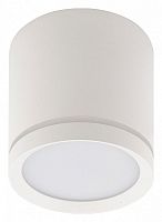 Накладной светильник Denkirs DK4016 DK4013-WH