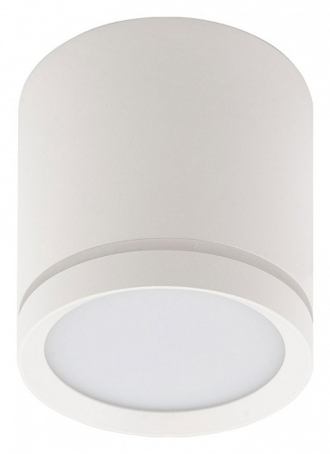 Накладной светильник Denkirs DK4016 DK4013-WH
