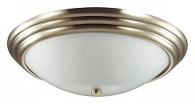 Накладной светильник Lumion Kayla 5262/3C