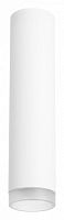 Накладной светильник Lightstar Rullo R49630