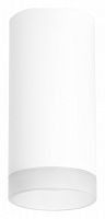 Накладной светильник Lightstar Rullo R648680