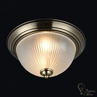 Светильник потолочный FREYA FR913-02-R Planum