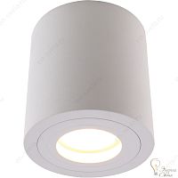Накладной светильник DIVINARE 1460 03 PL-1 GALOPIN