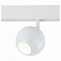 Светильник на штанге ST-Luce Bole ST354.546.12