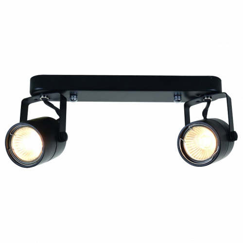Спот Arte Lamp Lente A1310PL-2BK 2xGU10