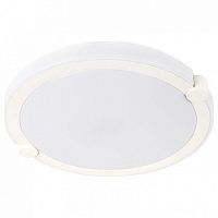 Накладной светильник Arte Lamp Biscotti 4 A2679PL-72WH