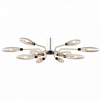 Подвесная люстра Maytoni Ventura MOD012CL-12G