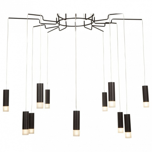 Подвесная люстра Maytoni Davida MOD035PL-12B