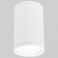 Накладной светильник Elektrostandard Light 35128/H