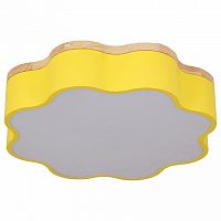 Накладной светильник Escada 10208 10208/1LED (Yellow)