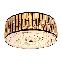 Потолочный светильник CITILUX CL331171 Гермес
