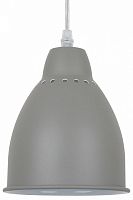 Подвесной светильник Arte Lamp Braccio A2054SP-1GY