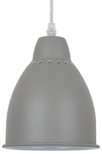 Подвесной светильник Arte Lamp Braccio A2054SP-1GY