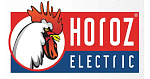 Horoz Electric