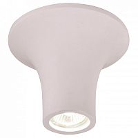 Накладной светильник Arte Lamp Tubo A9460PL-1WH