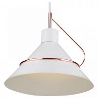 Подвесной светильник Freya Amis FR5025PL-01W