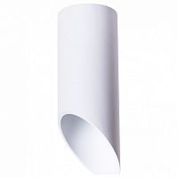 Точечный накладной светильник Arte Lamp Pilon A1615PL-1WH
