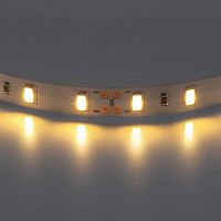 Лента светодиодная [200м] Lightstar  400072