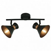 Спот Arte Lamp Baltimore A1406AP-2BK