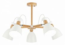 Люстра на штанге EVOLUCE Balcamo SLE103802-05