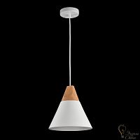 Светильник подвесной MAYTONI MOD359-01-W Bicones