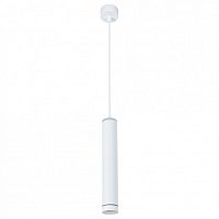 Подвесной светильник Arte Lamp Altais A6110SP-2WH