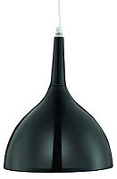 Подвесной светильник Arte Lamp Pendants 2 A9077SP-1BK