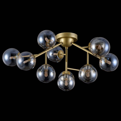 Потолочная люстра Maytoni Dallas MOD545PL-12G фото 4