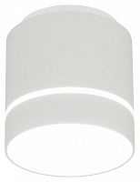 Накладной светильник Citilux Борн CL745020N