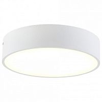 Накладной светильник Citilux Тао CL712180N