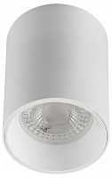 Накладной светильник Denkirs DK3110 DK3110-WH