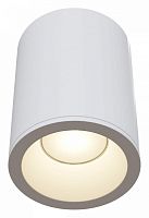 Накладной светильник Maytoni Antares C029CL-01W