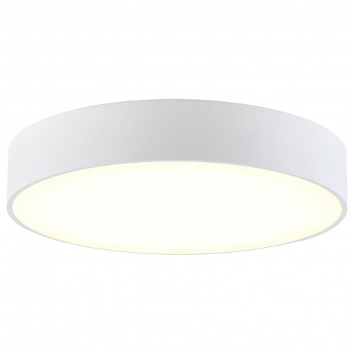 Накладной светильник Citilux Тао CL712240N