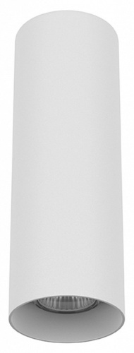 Накладной светильник Lightstar Rullo 216496