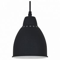 Подвесной светильник Arte Lamp Braccio A2054SP-1BK
