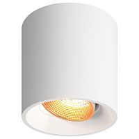 Накладной светильник Denkirs Dk309 DK3090-WBR