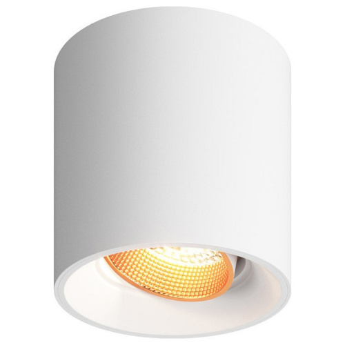 Накладной светильник Denkirs Dk309 DK3090-WBR