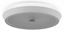 Накладной светильник Freya LED FR10012CL-L24W
