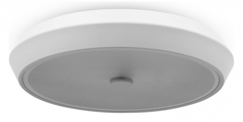 Накладной светильник Freya LED FR10012CL-L24W
