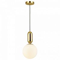 Подвесной светильник Odeon Light Okia 4669/1