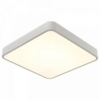 Накладной светильник Arte Lamp A2663PL A2663PL-1WH