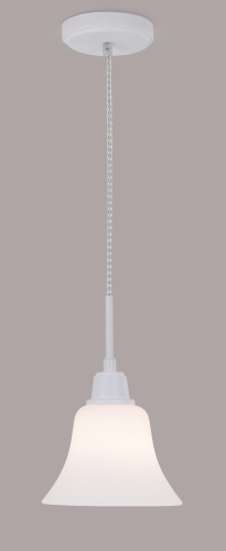 Подвесной светильник  CITILUX CL560110
