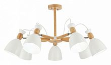 Люстра на штанге EVOLUCE Balcamo SLE103802-07