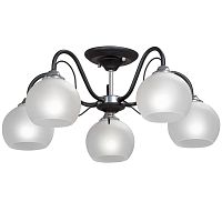 Потолочная люстра Vitaluce V3948-1/5PL