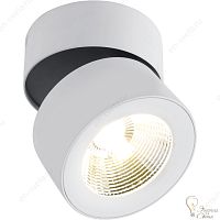 Накладной светильник DIVINARE 1295 03 PL-1 URCHIN