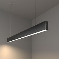Подвесной светильник Elektrostandard 101-200-30-103 101-200-30-103 a042949