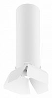 Светильник на штанге Lightstar Rullo R496436