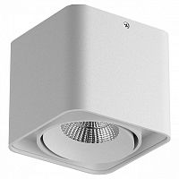 Накладной светильник Lightstar Monocco 52116