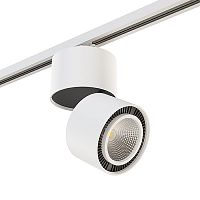 Светильник на штанге Lightstar Forte Muro A1T213850